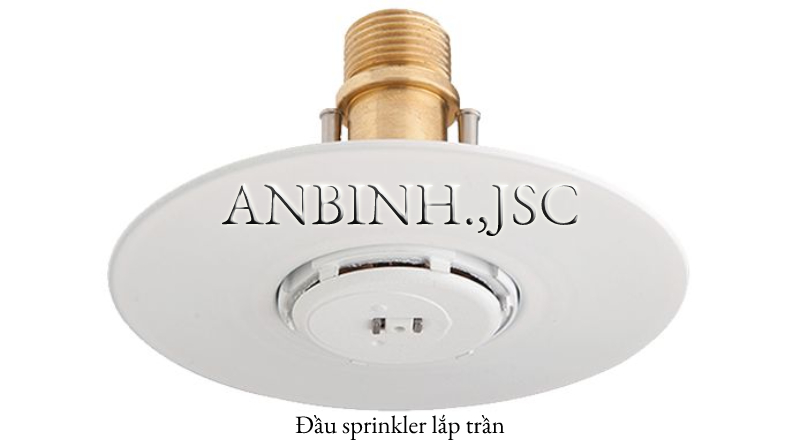Phân loại đầu phun sprinkler qua hướng phun và vị trí lắp đặt