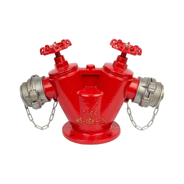 Trụ chữa cháy 2 cửa